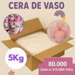 5KG Cera De Vaso